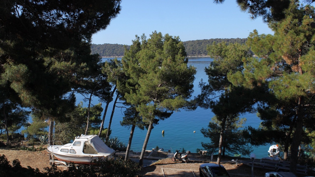 Photo of Others in Cove Murtar
