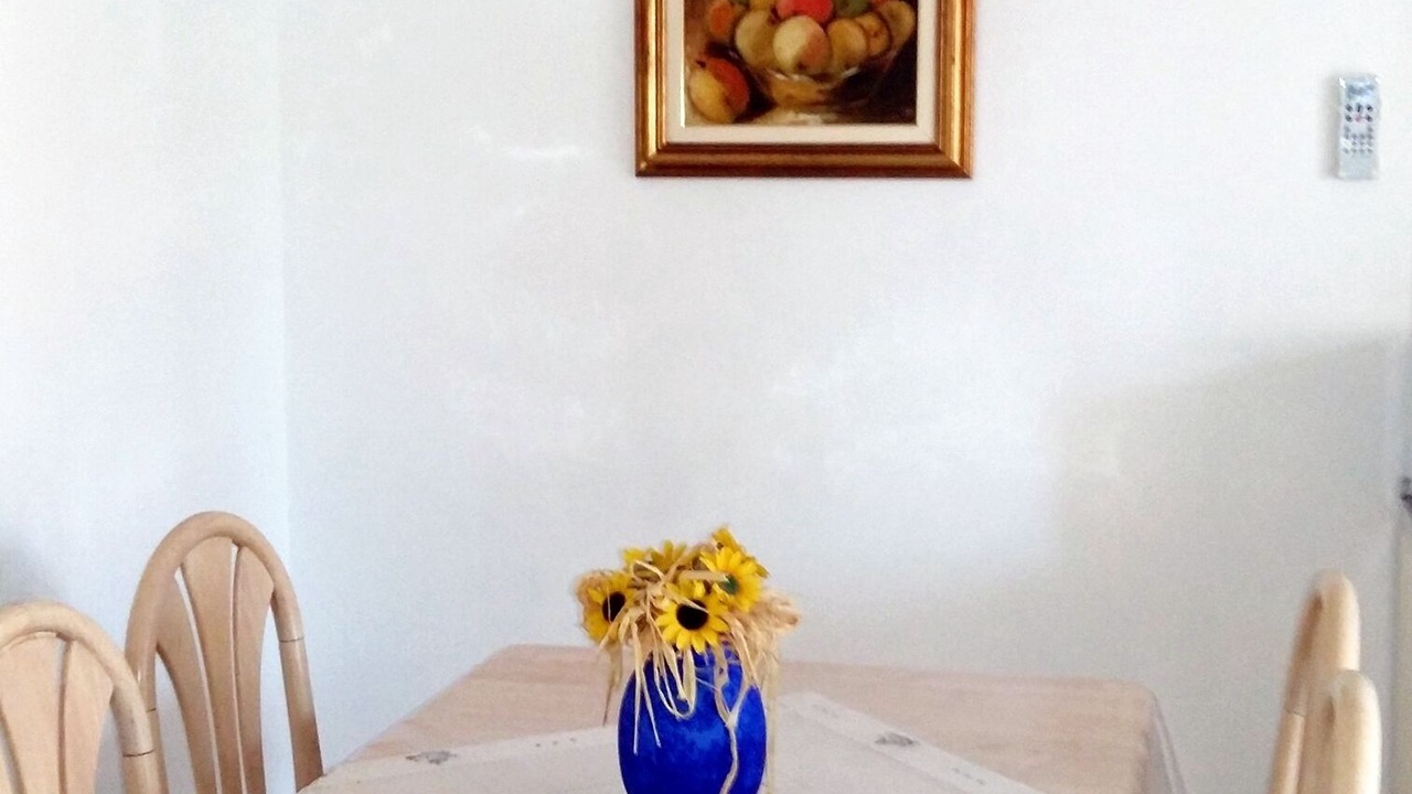Photo of Livingroom in Duga Luka