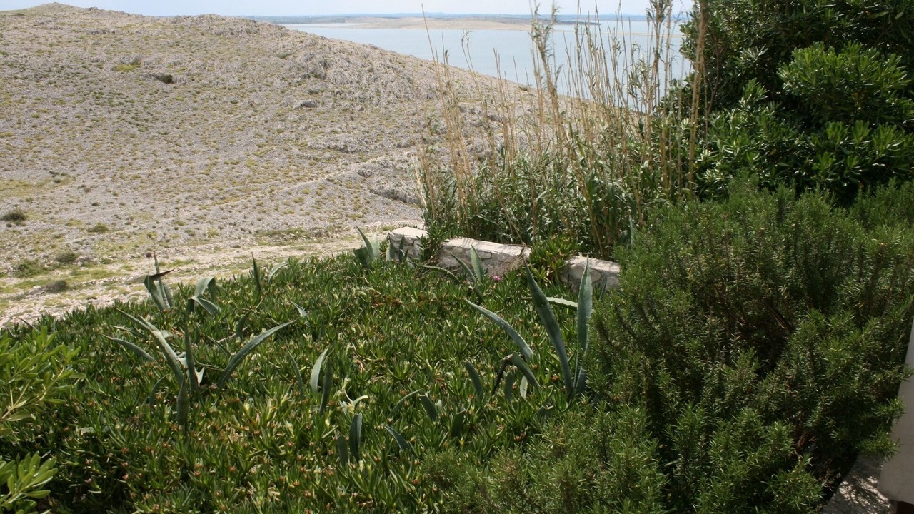 Photo of Outdoor in Smokvica
