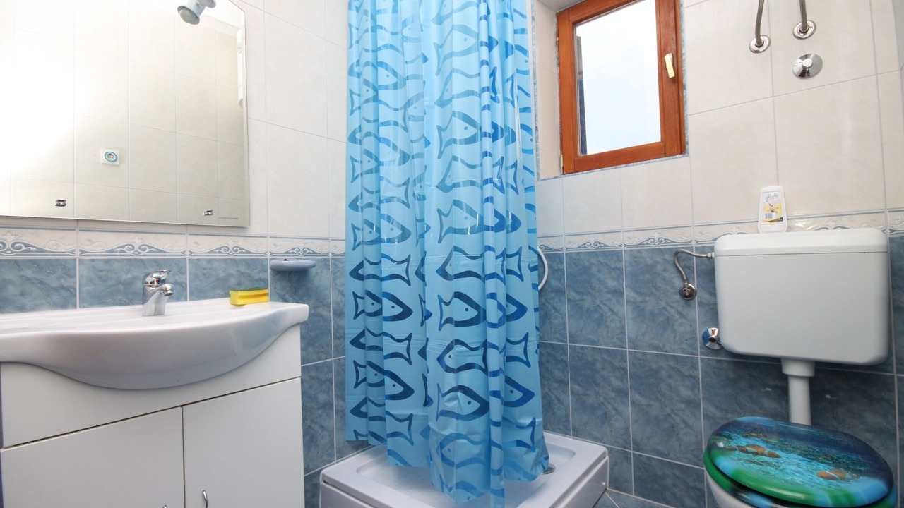 Photo of Bathroom in Metajna