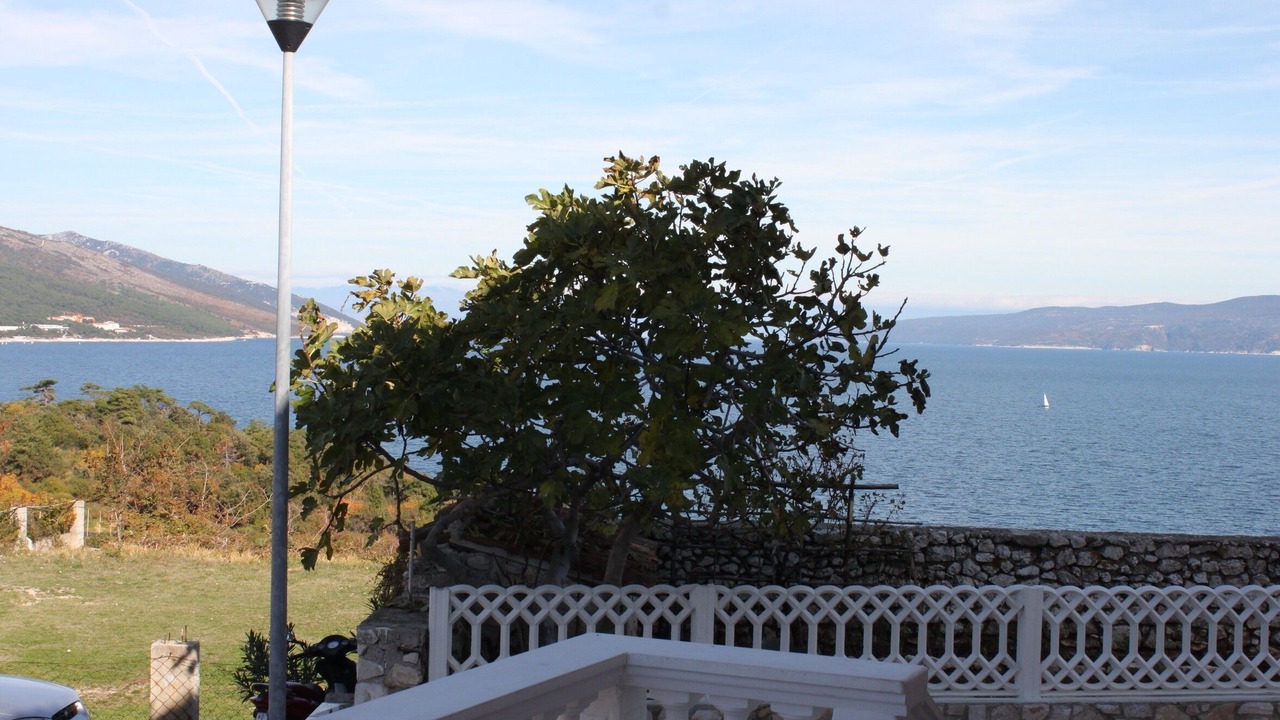 Photo of Others in Duga Luka