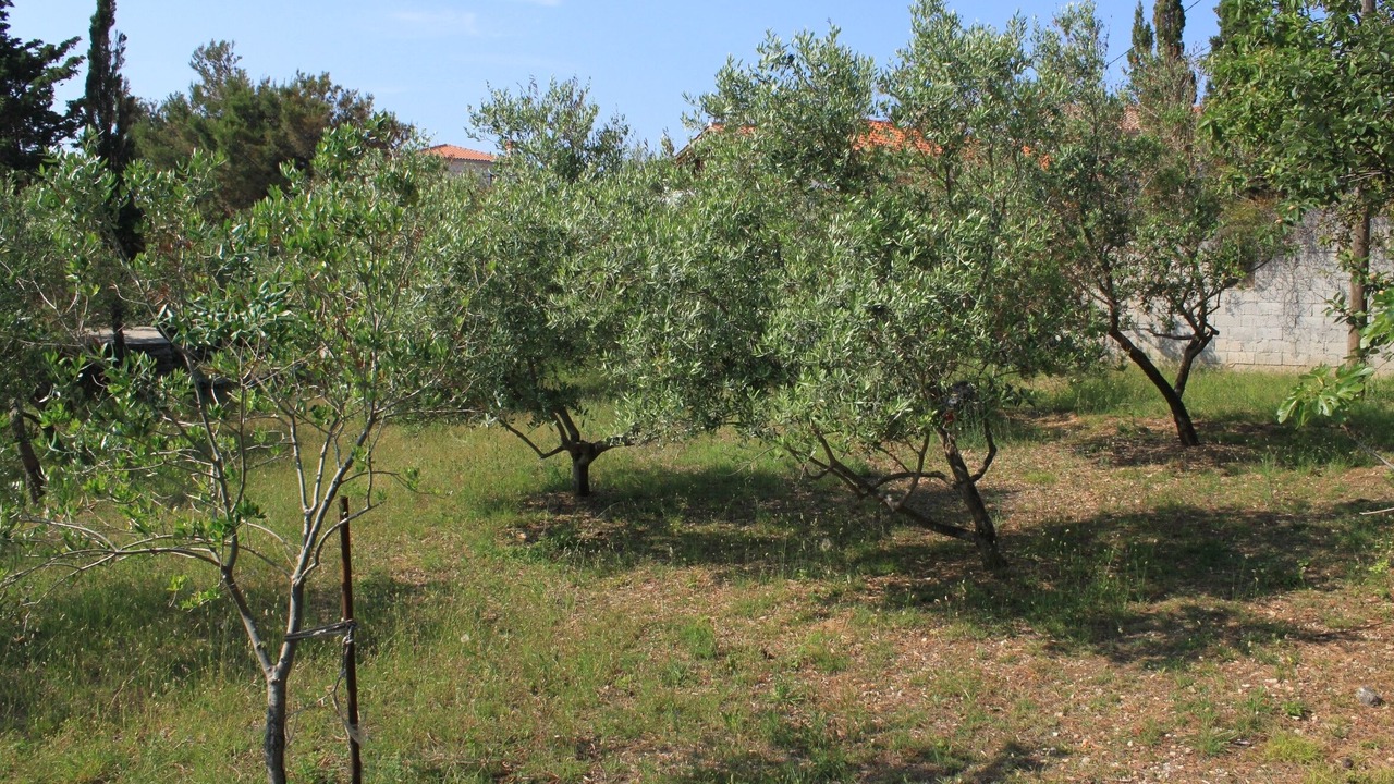 Photo of Outdoor in Sveti Jakov