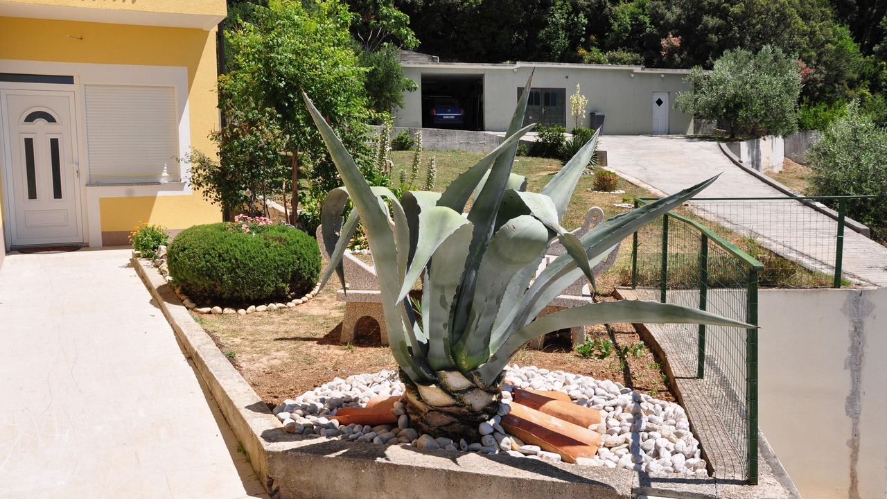 Photo of Outdoor in Supetarska Draga