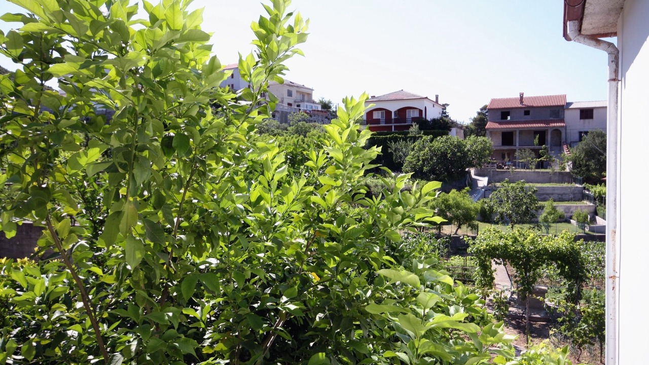 Photo of Others in Supetarska Draga