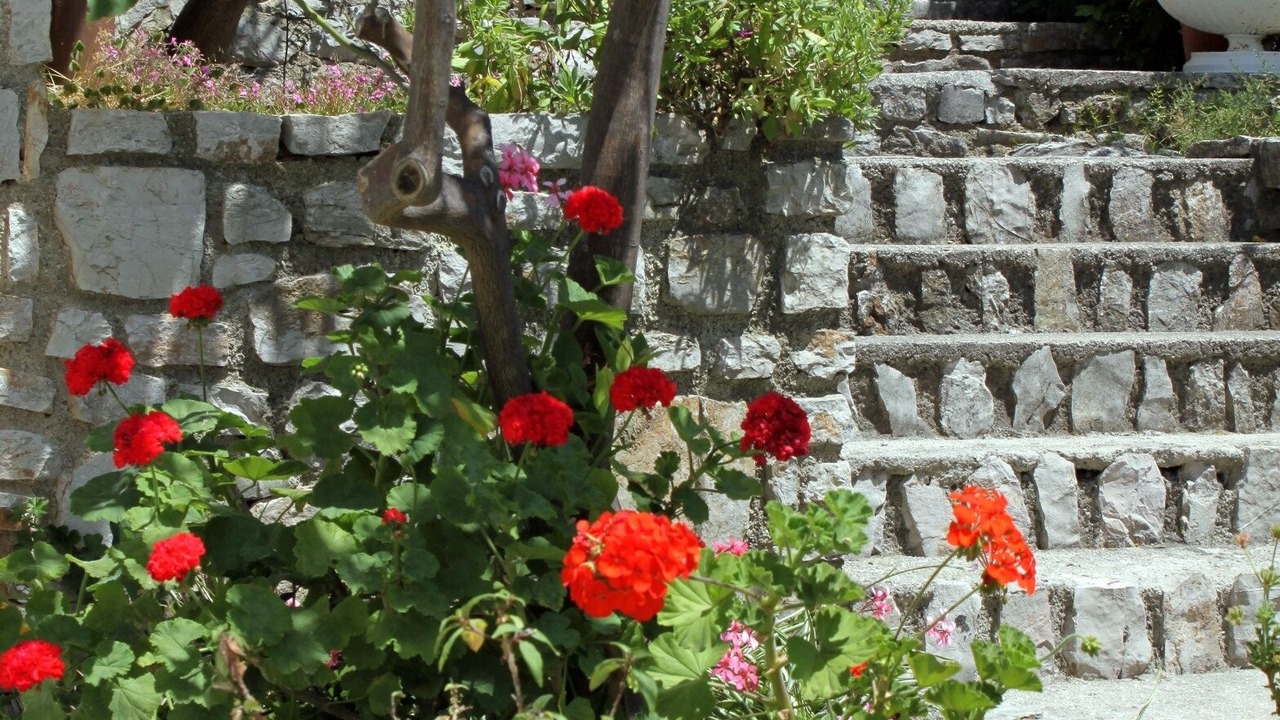 Photo of Outdoor in Cove Murtar