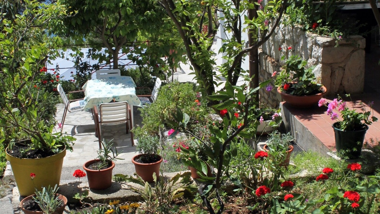 Photo of Outdoor in Cove Murtar