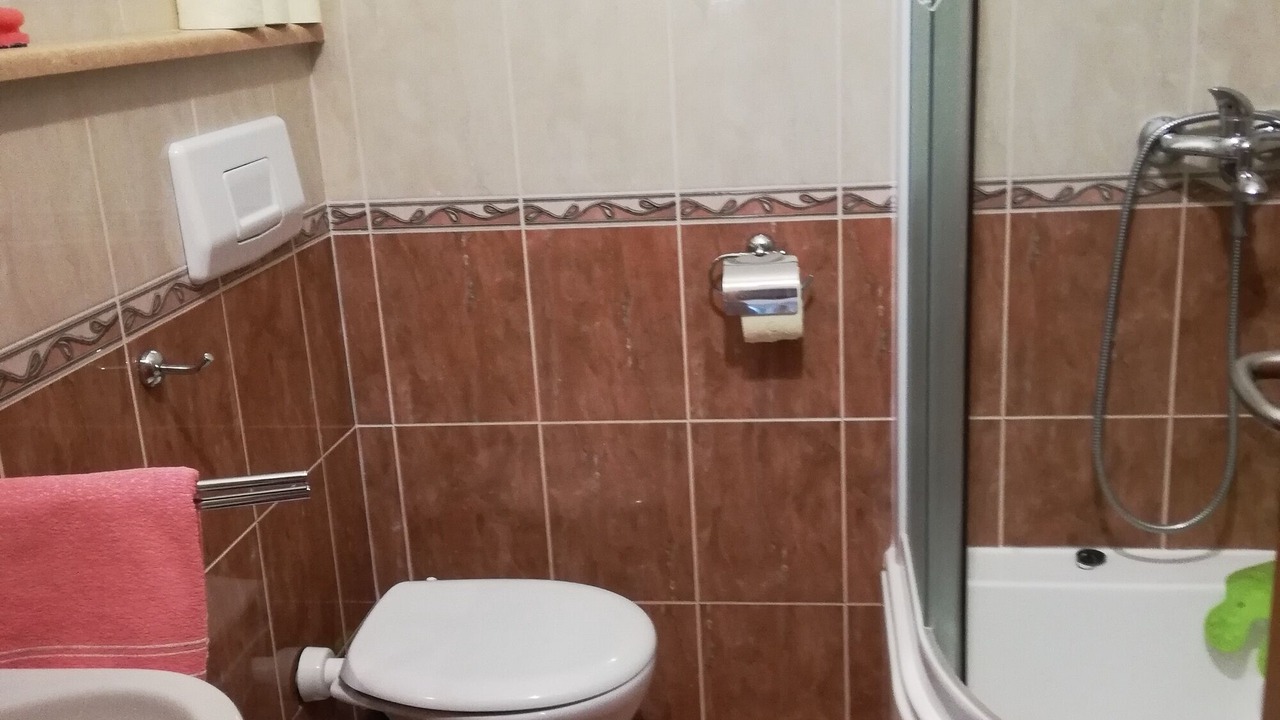 Photo of Bathroom in Donje Selo