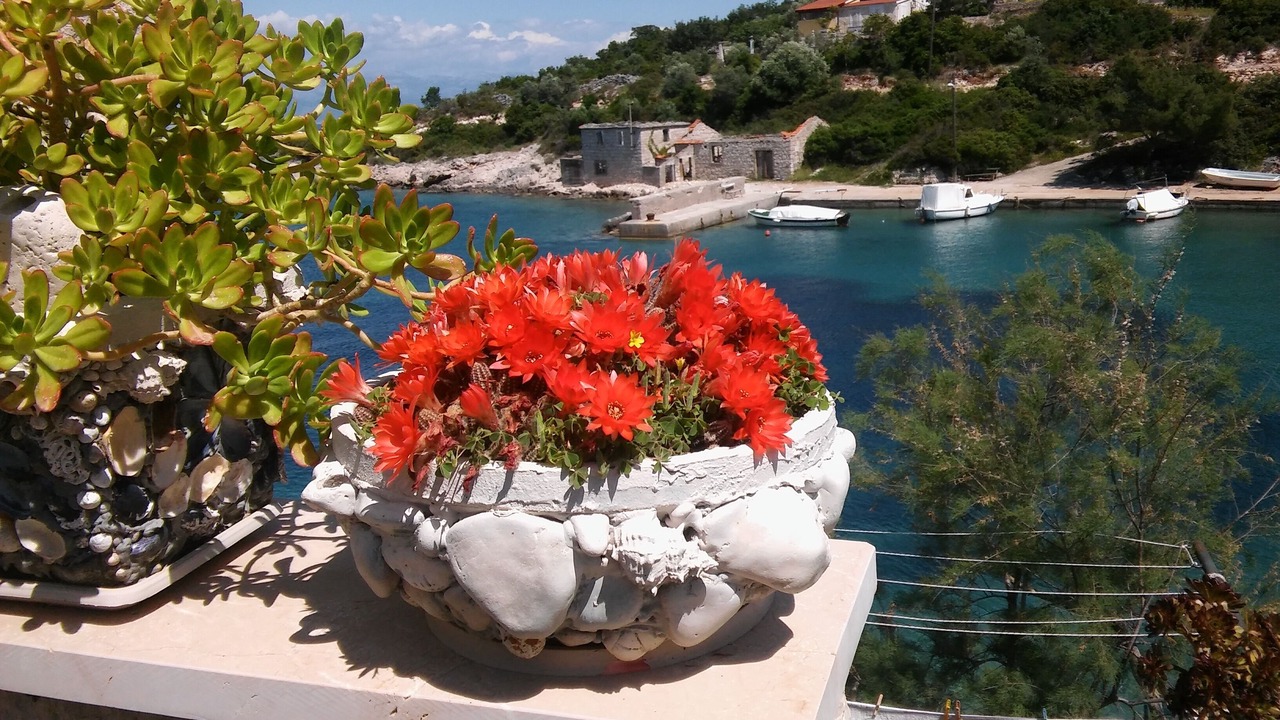 Photo of Patio Balcony in Donje Selo