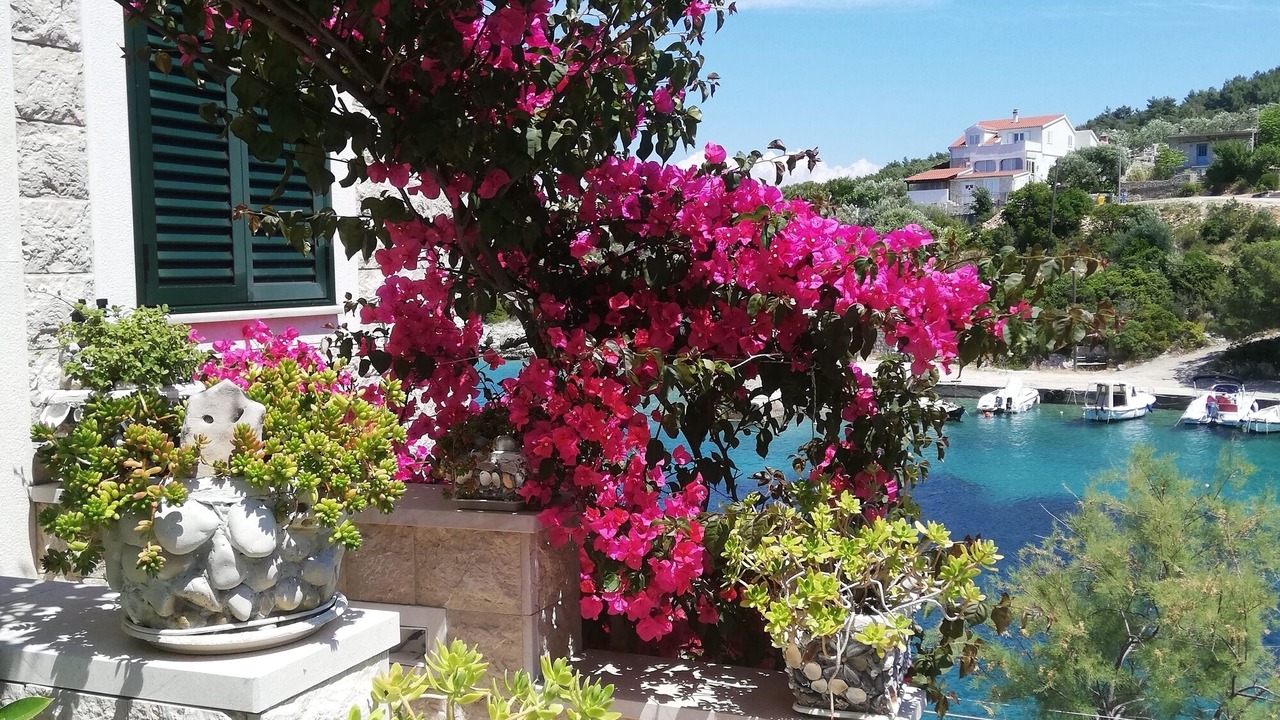 Photo of Outdoor in Donje Selo
