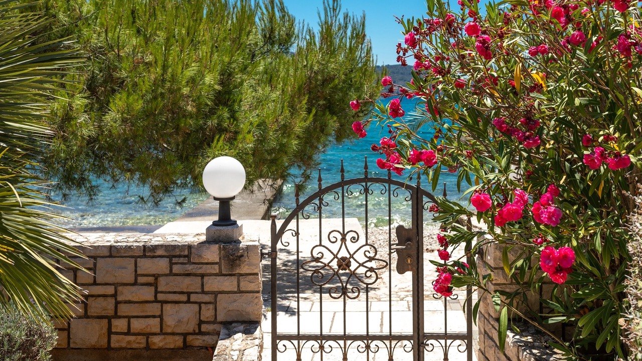 Photo of Outdoor in Vela Luka