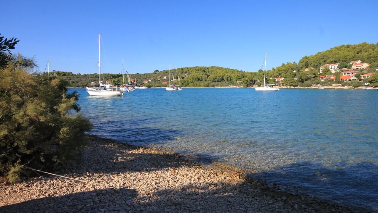 Photo of Others in Vela Luka