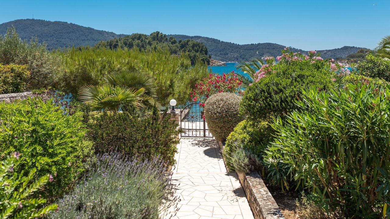 Photo of Outdoor in Vela Luka