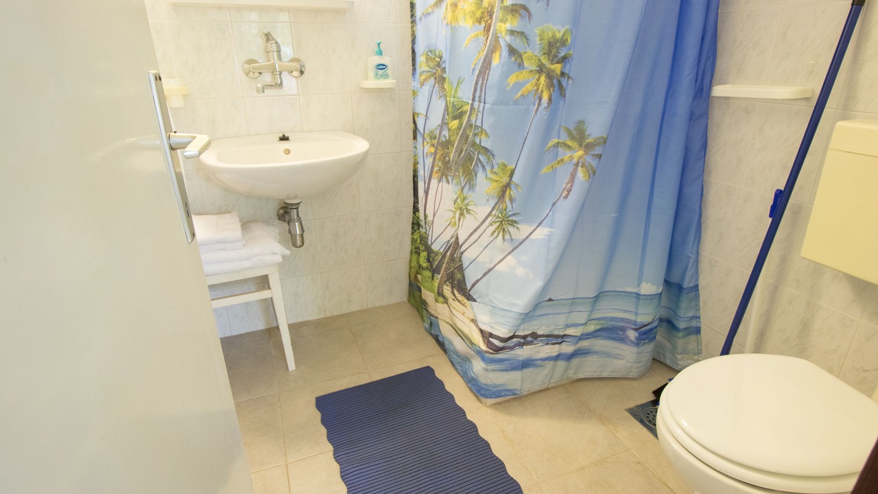 Photo of Bathroom in Novi Vinodolski