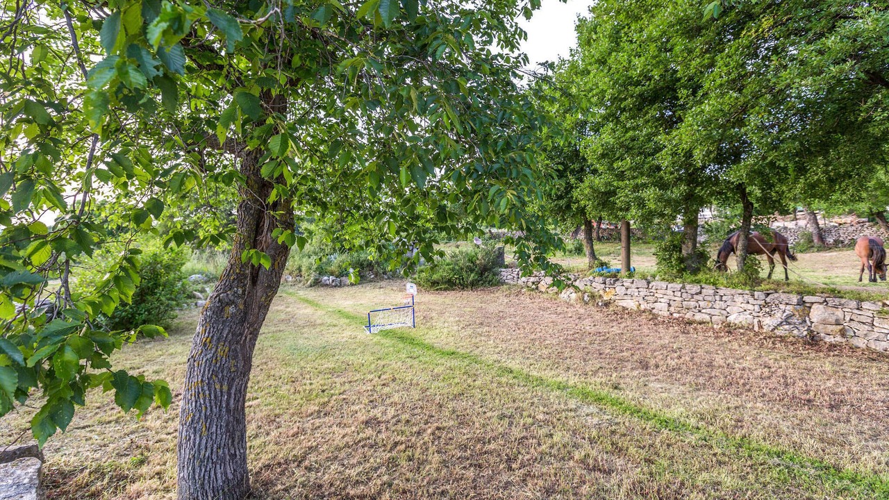 Photo of Outdoor in Rasa