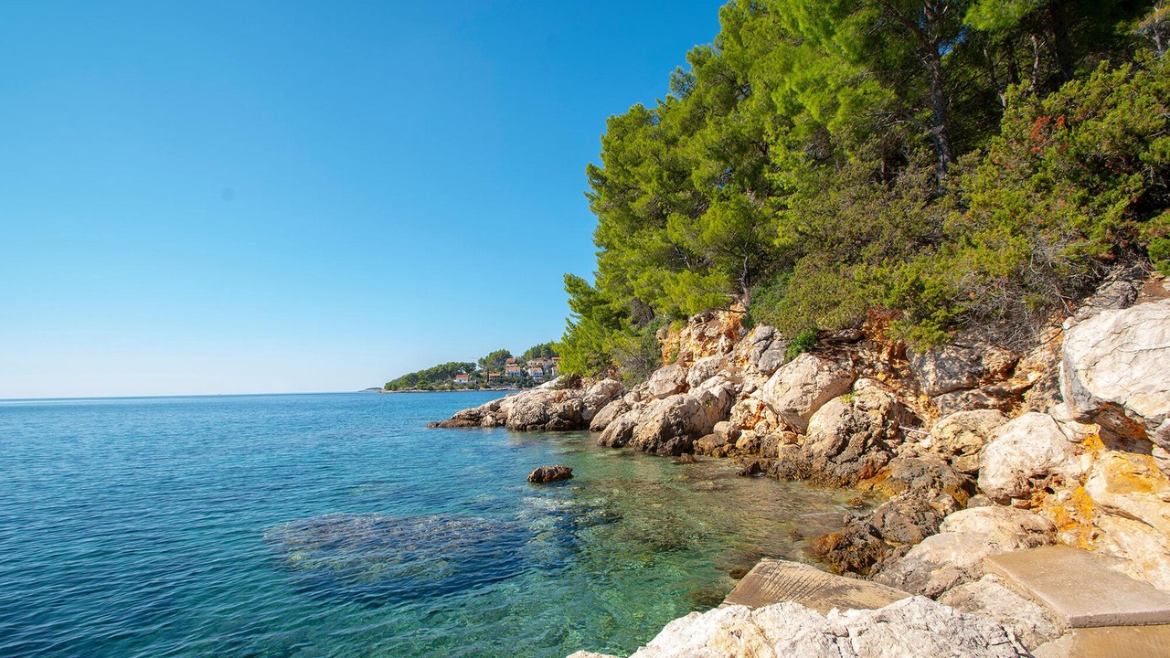 Photo of Others in Vela Luka