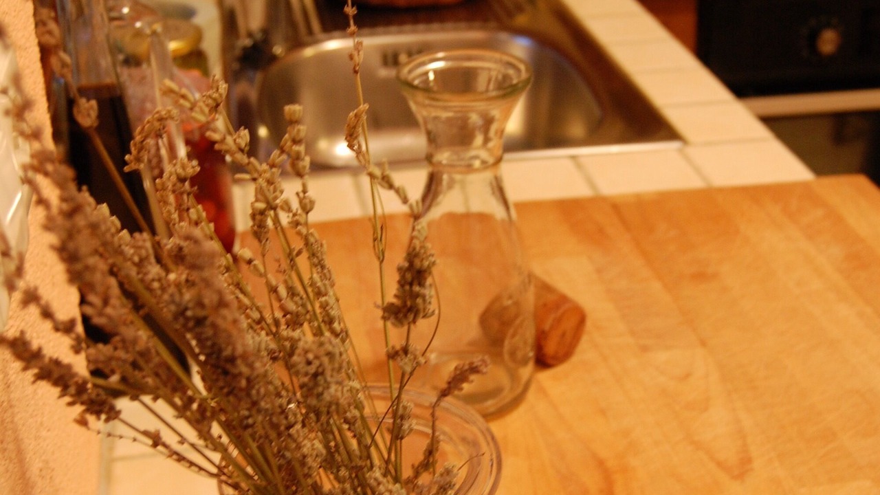 Photo of Kitchen in Biograd na Moru