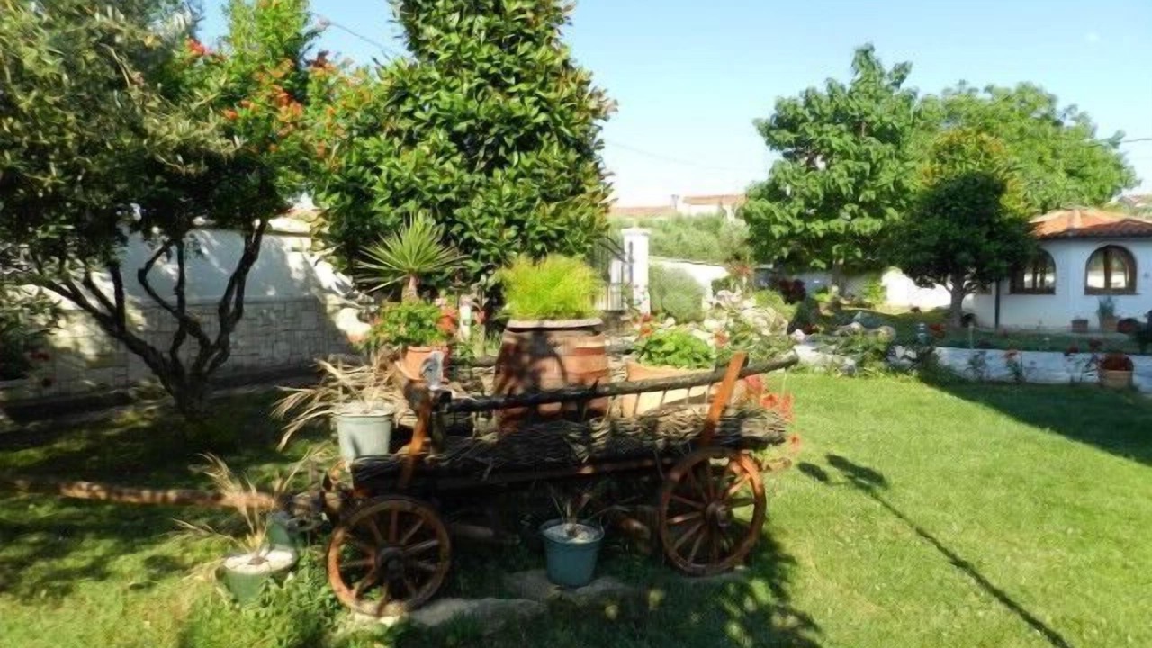 Photo of Outdoor in Pomer