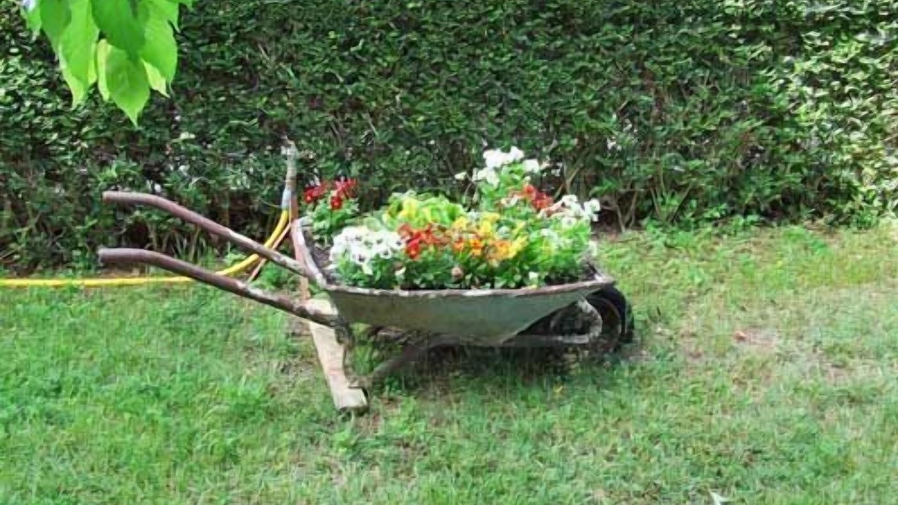 Photo of Outdoor in Pomer