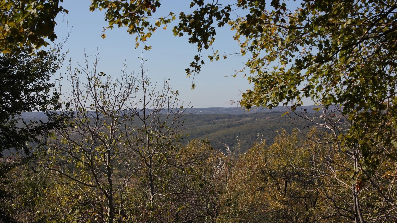 Photo of Others in Kapelica