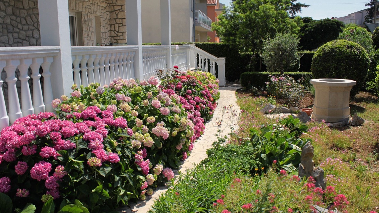 Photo of Outdoor in Selce