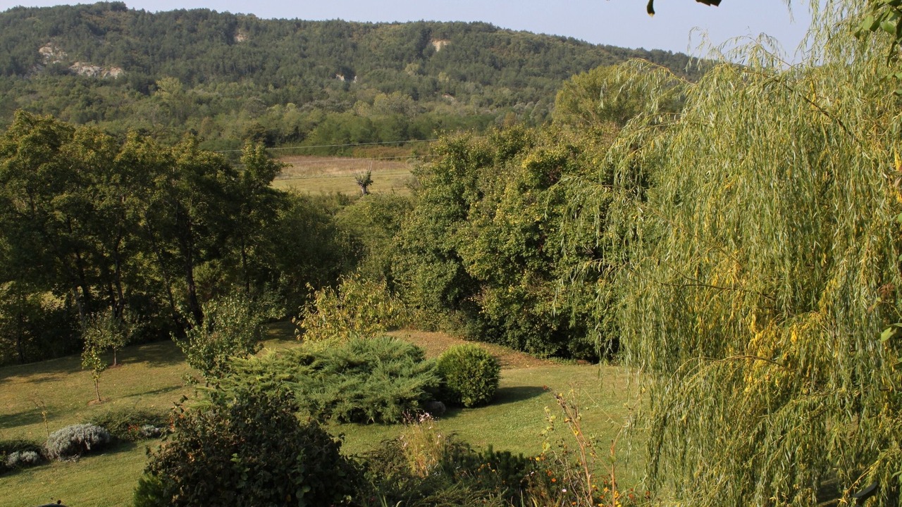 Photo of Others in Rim