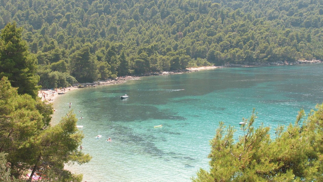 Photo of Others in Broce