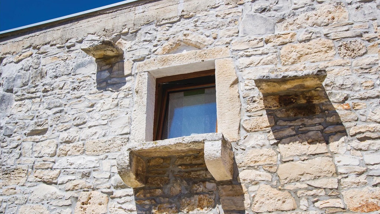 Photo of Others in Bicici