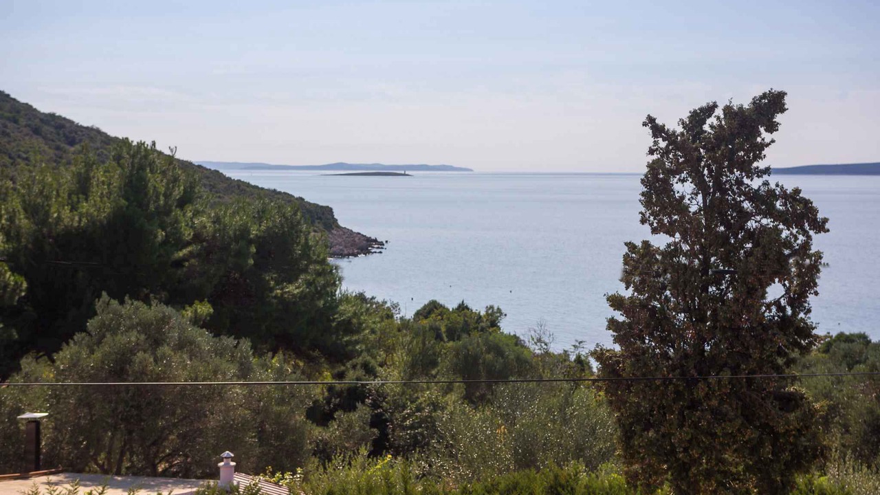 Photo of Others in Miholascica