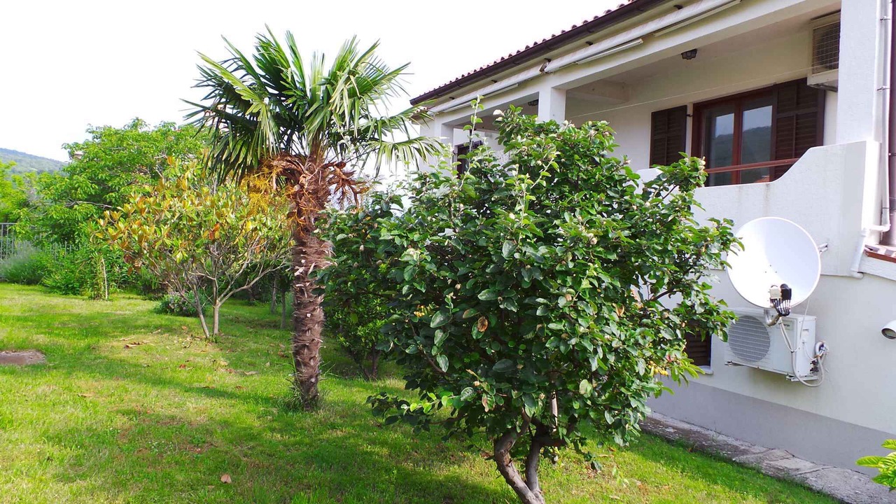 Photo of Outdoor in Sveta Marina