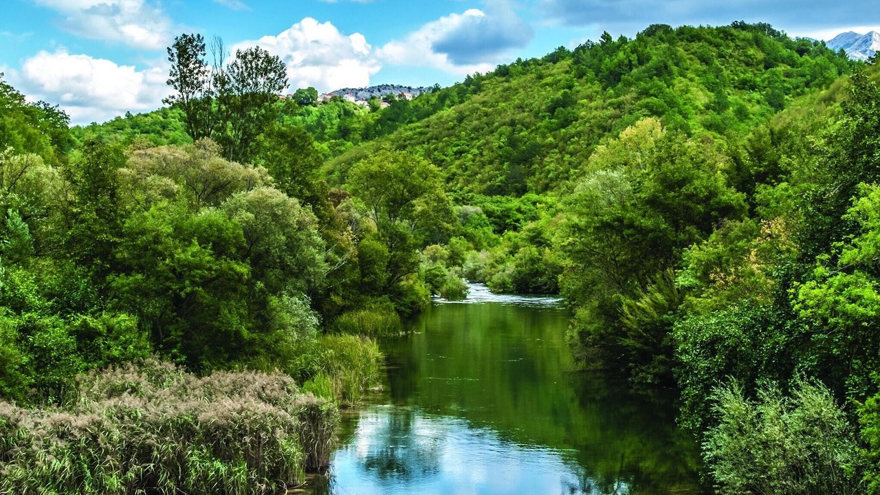 Photo of Others in Omis