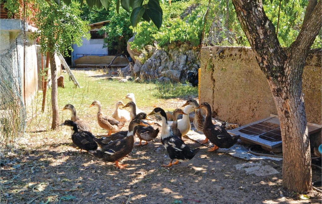Photo of Others in Kucice