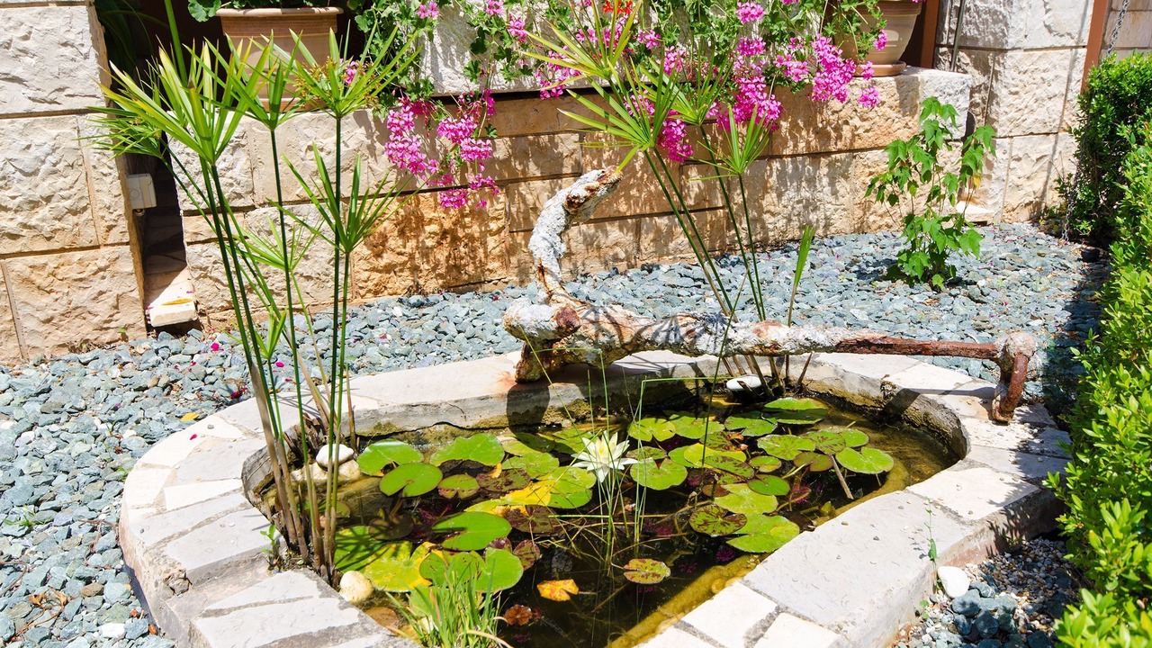 Photo of Outdoor in Vinkuran