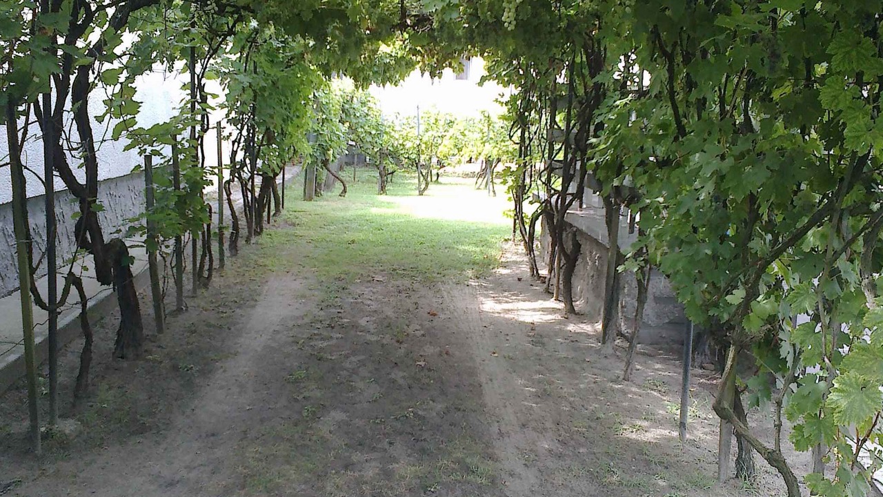 Photo of Others in Balatonfenyves
