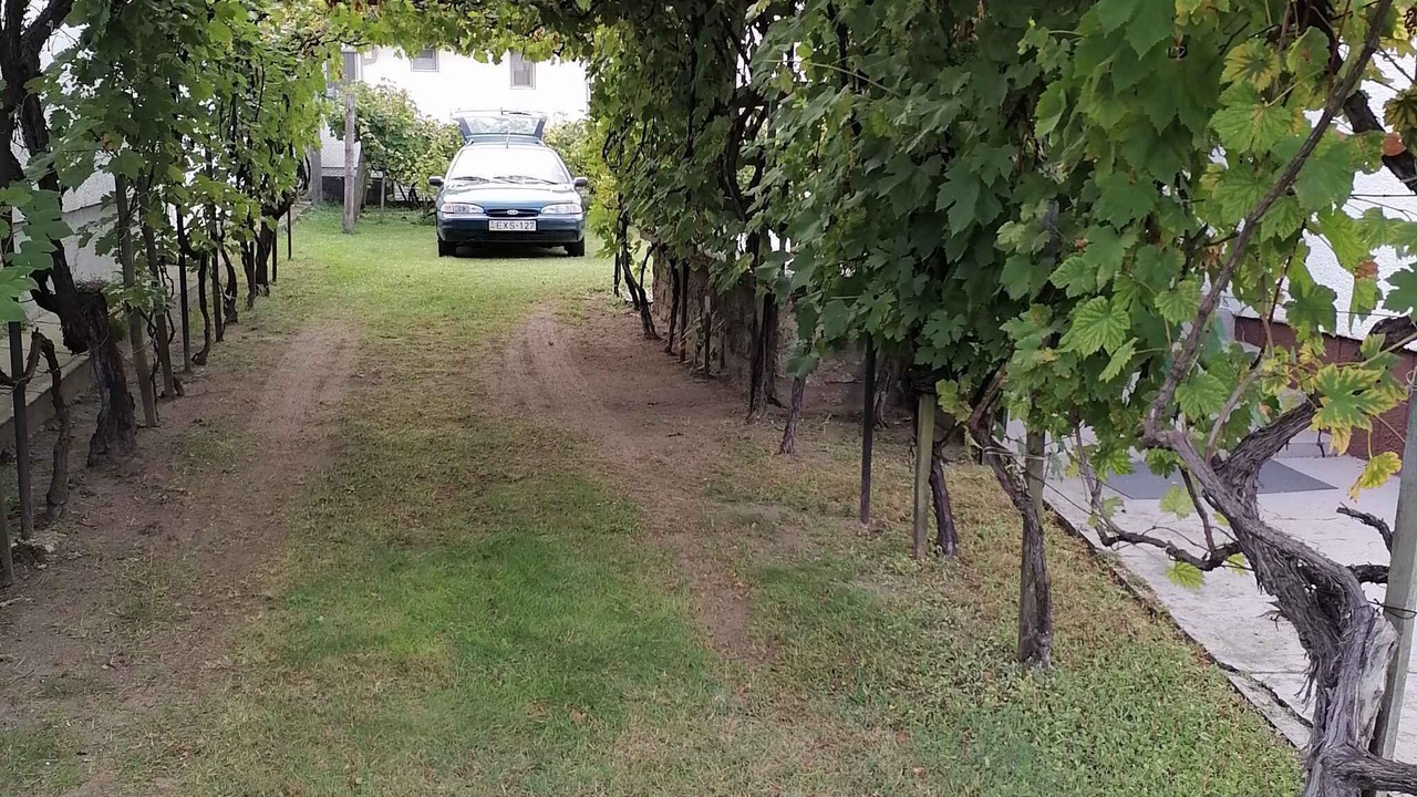 Photo of Outdoor in Balatonfenyves