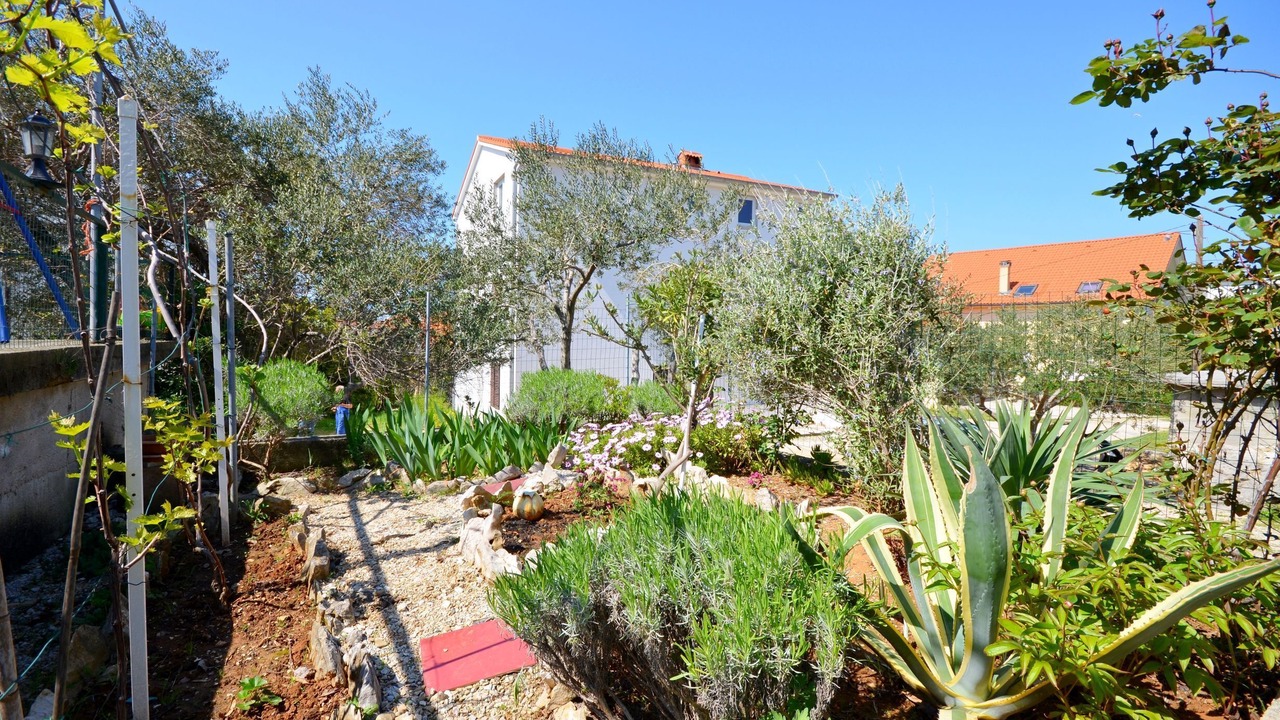 Photo of Outdoor in Banjol