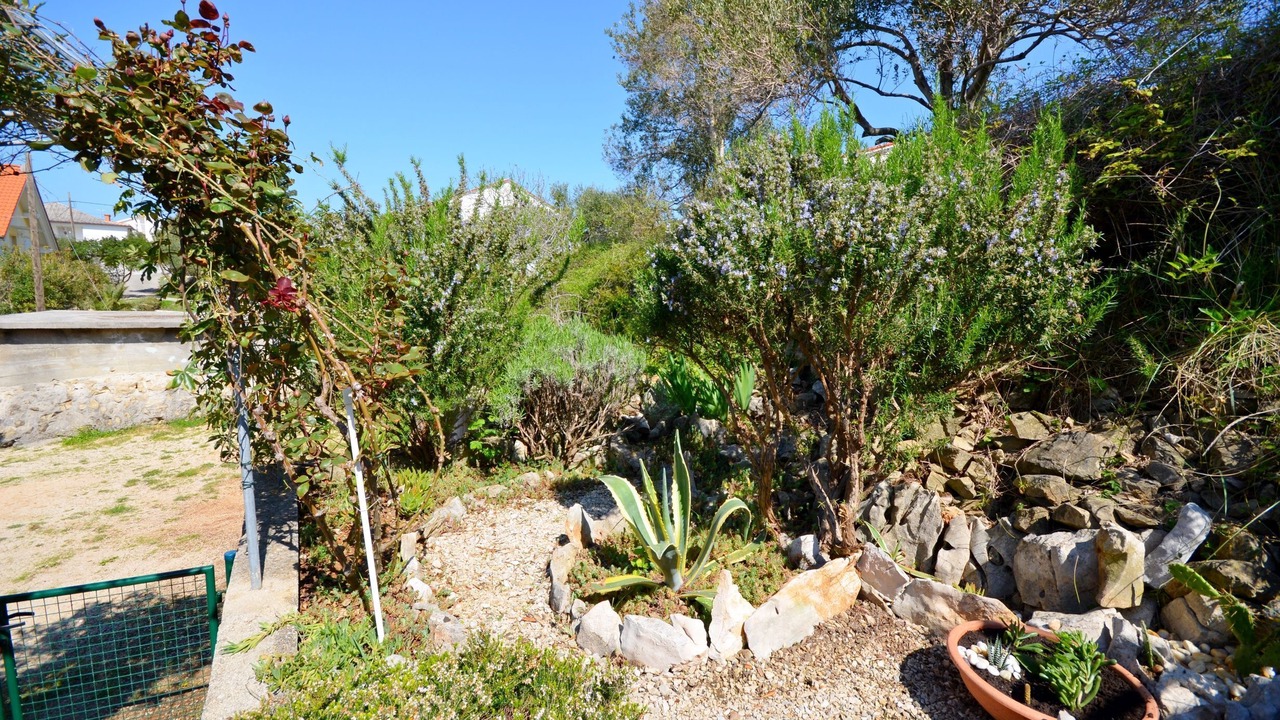 Photo of Outdoor in Banjol