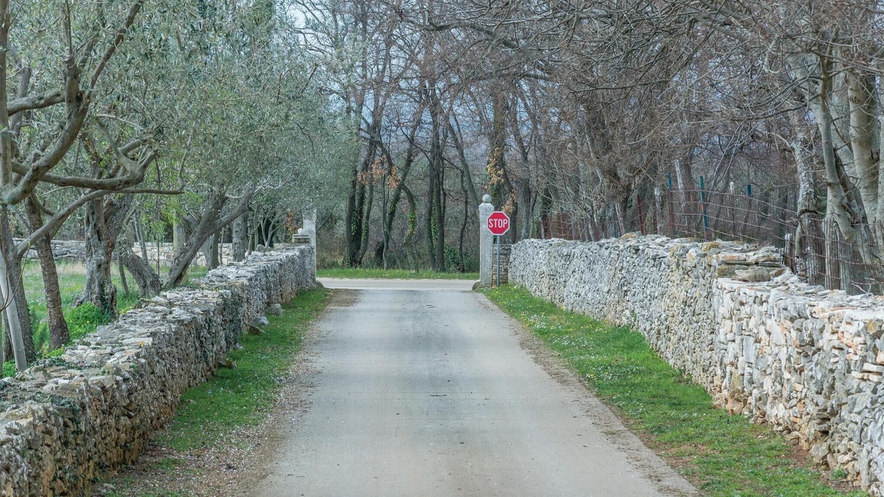 Photo of Others in Gajana