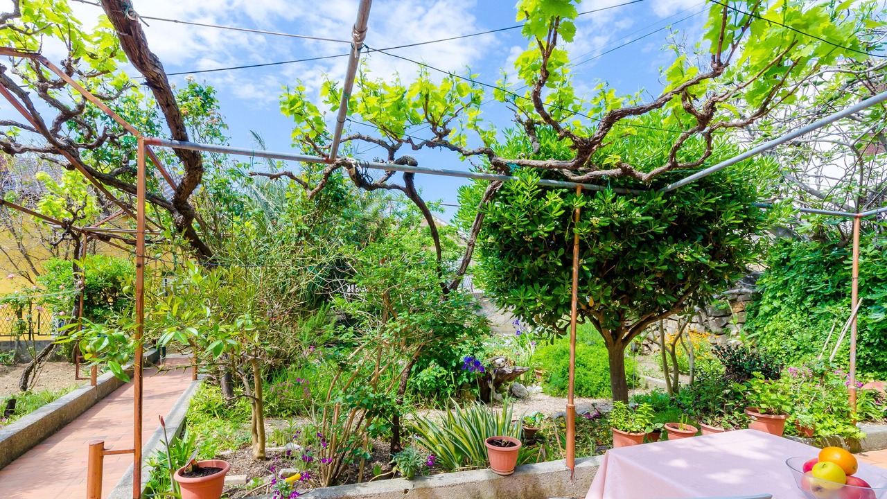 Photo of Outdoor in Rab