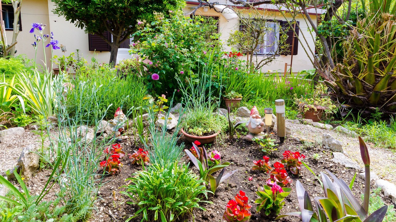 Photo of Outdoor in Rab