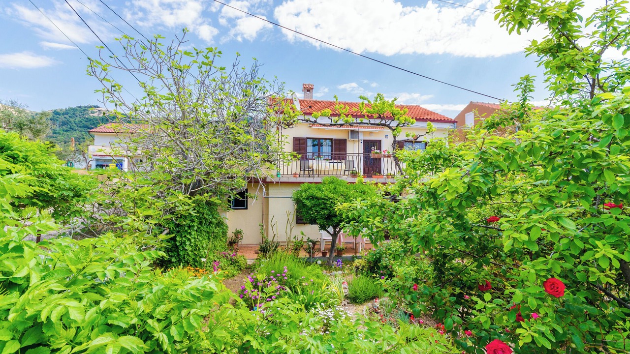 Photo of Outdoor in Rab