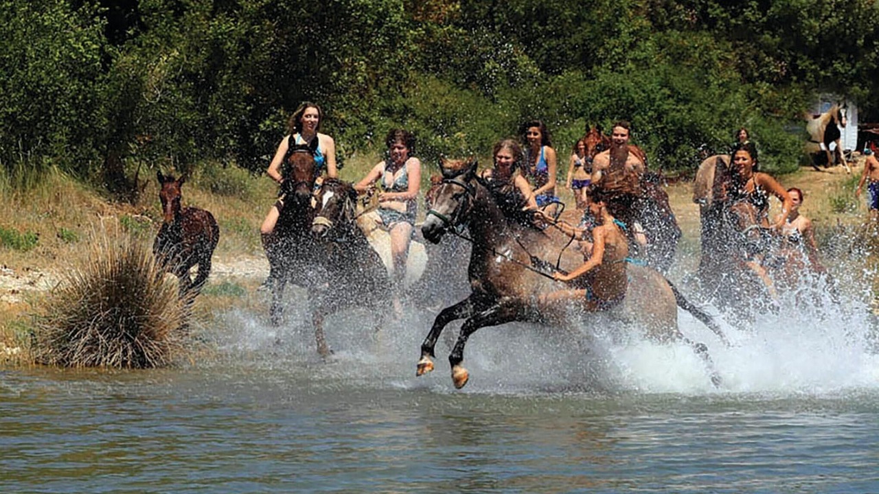 Photo of Others in Hrboki