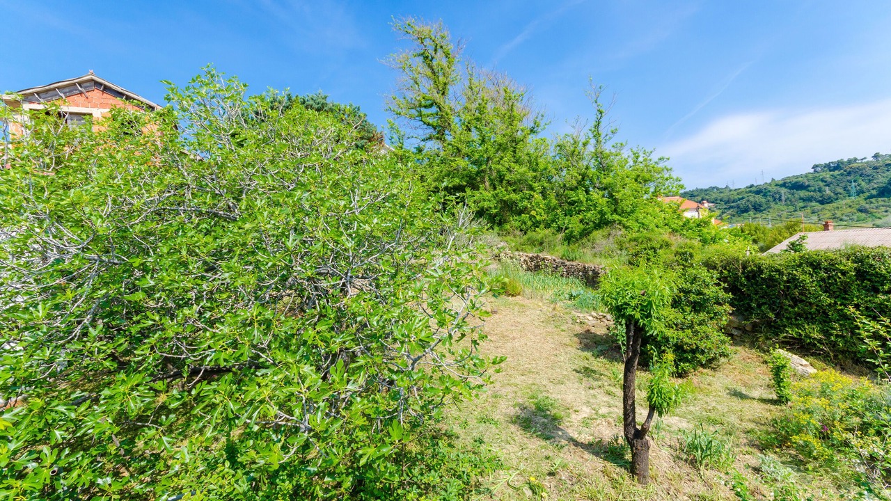 Photo of Outdoor in Palit
