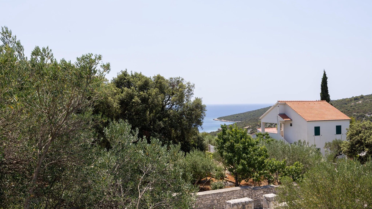 Photo of Others in Vinisce