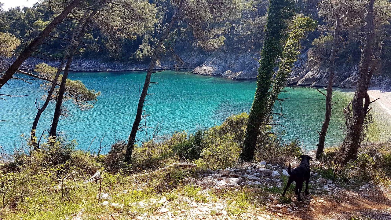 Photo of Others in Sveta Marina