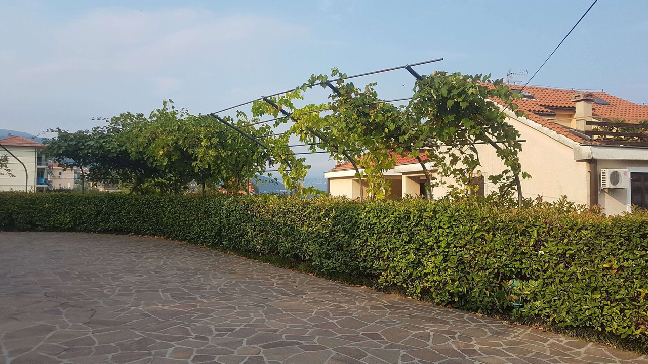 Photo of Outdoor in Lovran
