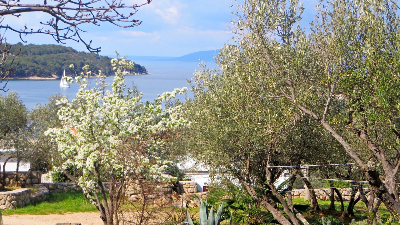 Photo of Others in Cres