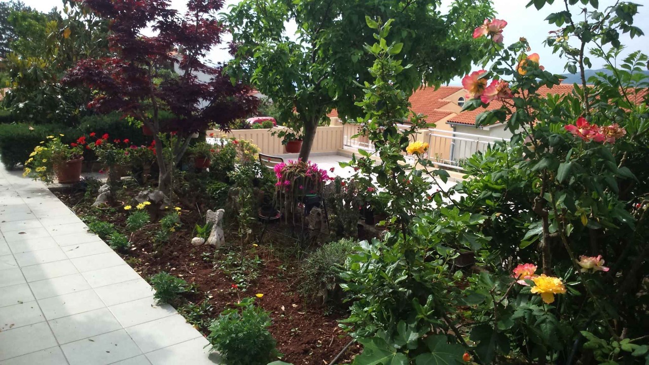 Photo of Outdoor in Rabac