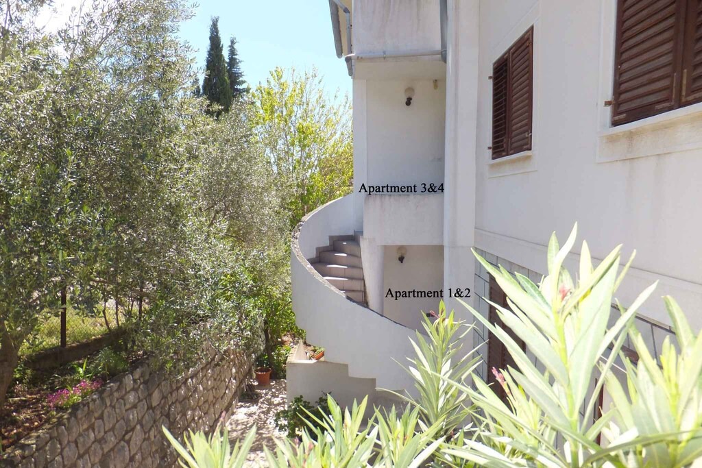 Photo of Buildings in Supetarska Draga