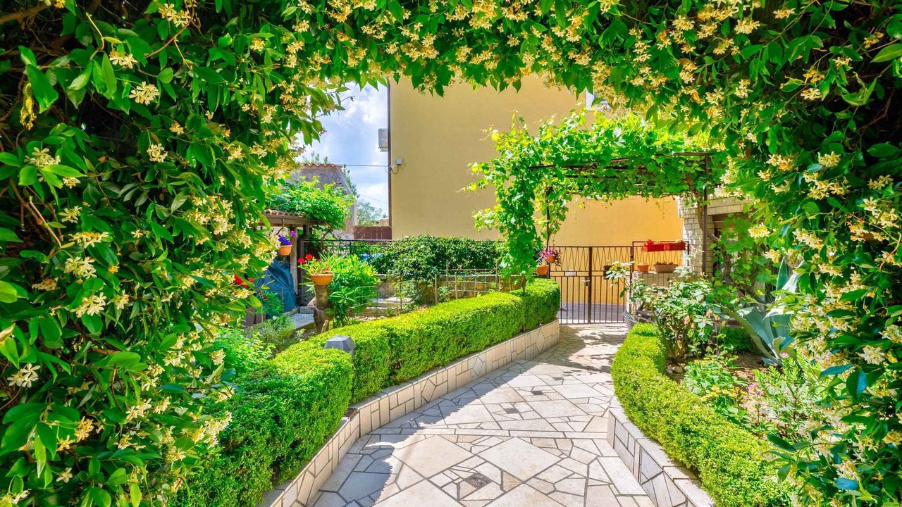 Photo of Outdoor in Selce