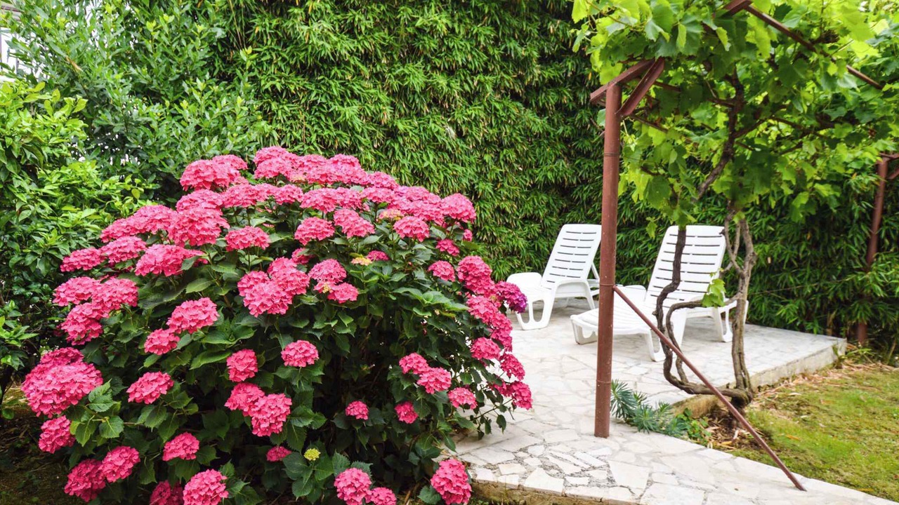 Photo of Outdoor in Pjescana Uvala